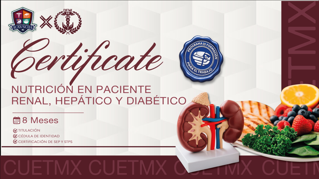 Diplomado en Terapias Holísticas